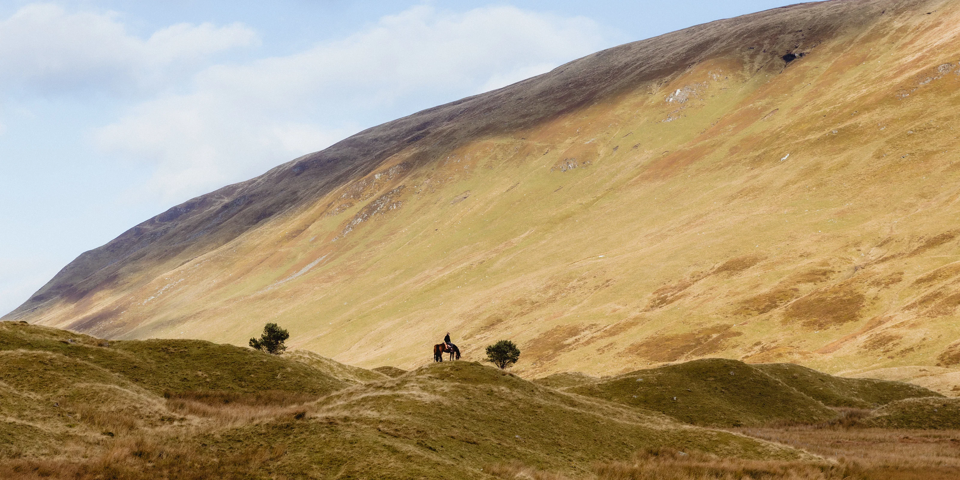 Refined Heritage, Rooted in Nature